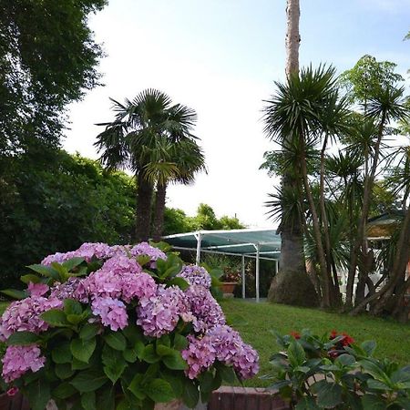 Il Piccolo Nido Bed & Breakfast Borgo Montenero Exterior photo