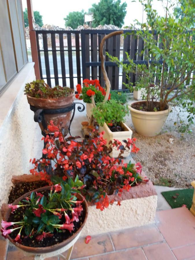 Il Piccolo Nido Bed & Breakfast Borgo Montenero Exterior photo